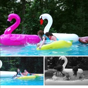 Meet your Posher, Judy